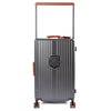 Hodalump Trolley Big Case