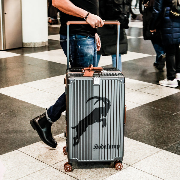 Hodalump Trolley Big Case